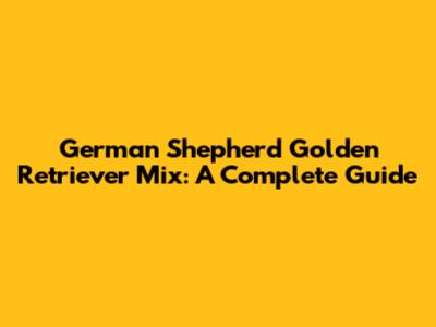 German Shepherd Golden Retriever Mix: A Complete Guide