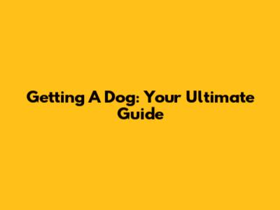 Getting A Dog: Your Ultimate Guide