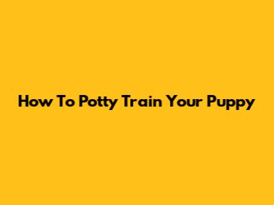 How To Potty Train Your Puppy