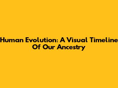 Human Evolution: A Visual Timeline Of Our Ancestry