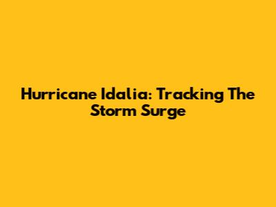 Hurricane Idalia: Tracking The Storm Surge