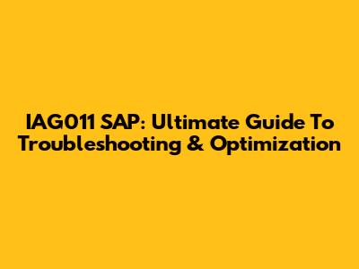 IAG011 SAP: Ultimate Guide To Troubleshooting & Optimization