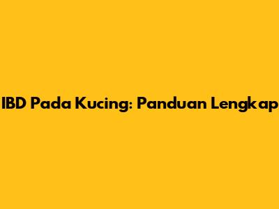 IBD Pada Kucing: Panduan Lengkap
