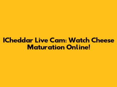 ICheddar Live Cam: Watch Cheese Maturation Online!