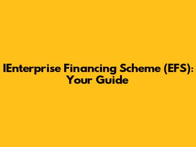 IEnterprise Financing Scheme (EFS): Your Guide