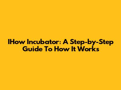 IHow Incubator: A Step-by-Step Guide To How It Works