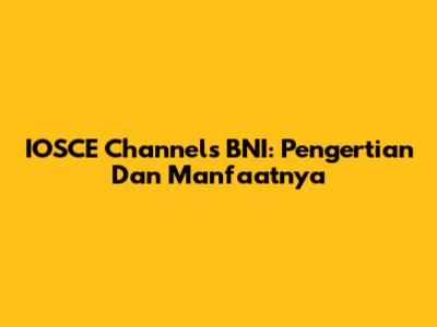 IOSCE Channels BNI: Pengertian Dan Manfaatnya