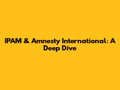 IPAM & Amnesty International: A Deep Dive