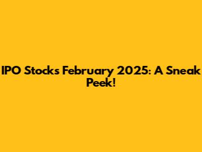 IPO Stocks February 2025: A Sneak Peek!