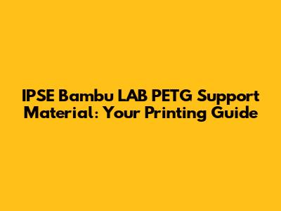 IPSE Bambu LAB PETG Support Material: Your Printing Guide