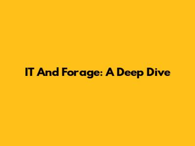 IT And Forage: A Deep Dive