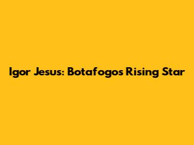 Igor Jesus: Botafogo's Rising Star