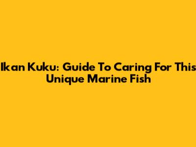 Ikan Kuku: Guide To Caring For This Unique Marine Fish