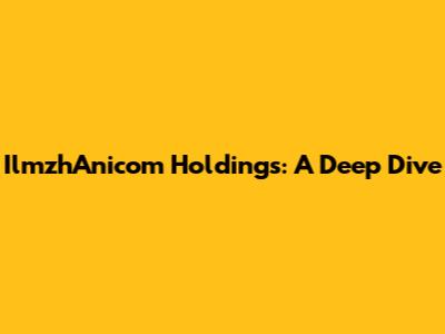 IlmzhAnicom Holdings: A Deep Dive