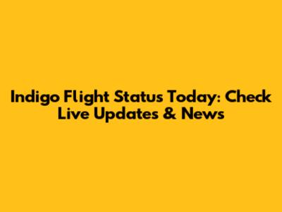 Indigo Flight Status Today: Check Live Updates & News