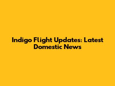 Indigo Flight Updates: Latest Domestic News