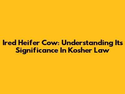 Ired Heifer Cow: Understanding Its Significance In Kosher Law