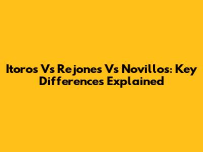 Itoros Vs Rejones Vs Novillos: Key Differences Explained