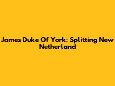 James Duke Of York: Splitting New Netherland