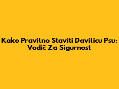 Kako Pravilno Staviti Davilicu Psu: Vodič Za Sigurnost