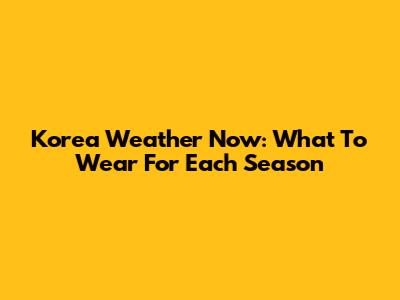 Korea Weather Now: What To Wear For Each Season