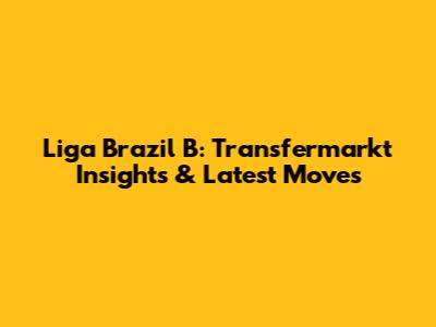 Liga Brazil B: Transfermarkt Insights & Latest Moves