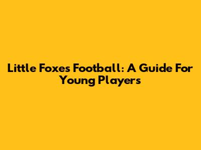 Little Foxes Football: A Guide For Young Players