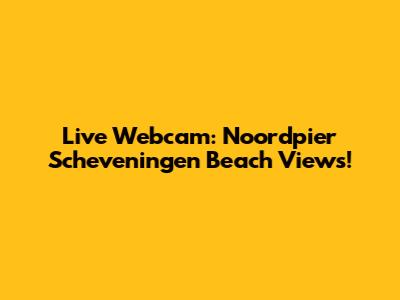 Live Webcam: Noordpier Scheveningen Beach Views!