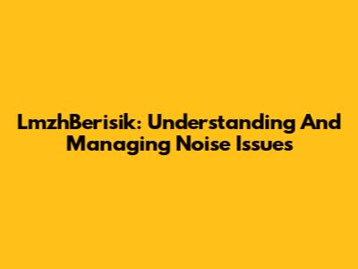 LmzhBerisik: Understanding And Managing Noise Issues