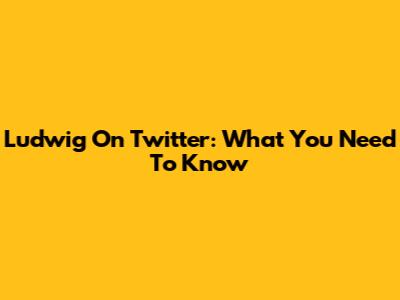 Ludwig On Twitter: What You Need To Know