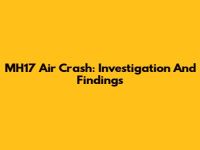MH17 Air Crash: Investigation And Findings