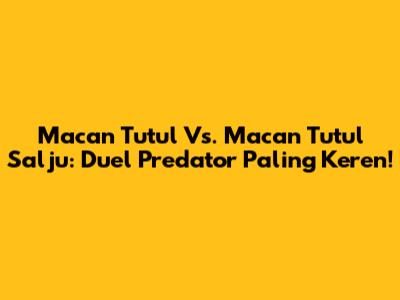 Macan Tutul Vs. Macan Tutul Salju: Duel Predator Paling Keren!