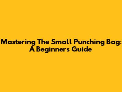 Mastering The Small Punching Bag: A Beginner's Guide