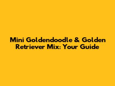 Mini Goldendoodle & Golden Retriever Mix: Your Guide