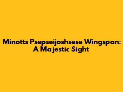 Minott's Psepseijoshsese Wingspan: A Majestic Sight