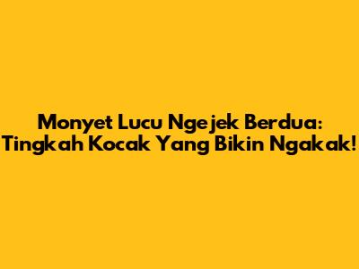 Monyet Lucu Ngejek Berdua: Tingkah Kocak Yang Bikin Ngakak!