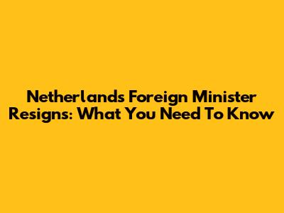 Netherlands Foreign Minister Resigns: What You Need To Know