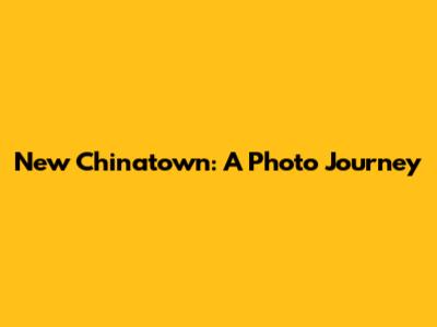 New Chinatown: A Photo Journey