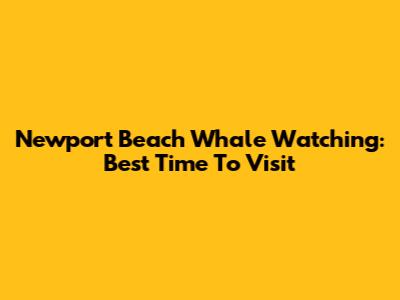 Newport Beach Whale Watching: Best Time To Visit