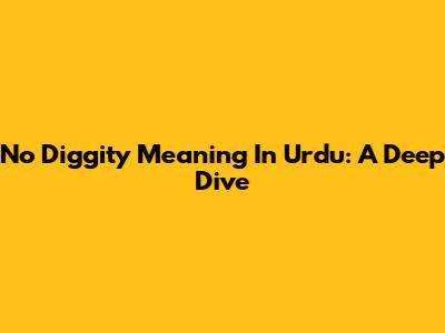 No Diggity Meaning In Urdu: A Deep Dive