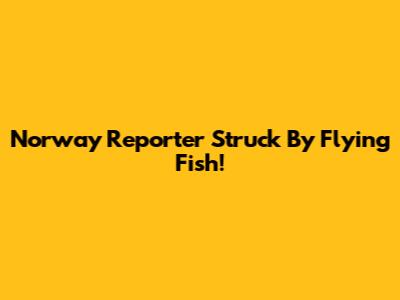 Norway Reporter Struck By Flying Fish!