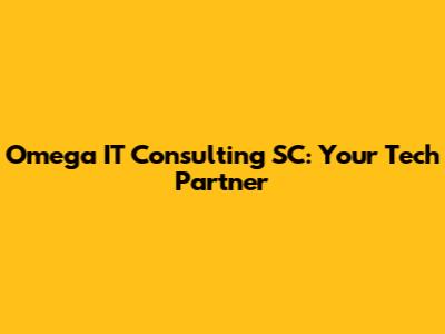 Omega IT Consulting SC: Your Tech Partner