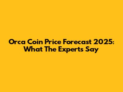 Orca Coin Price Forecast 2025: What The Experts Say