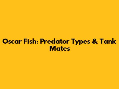 Oscar Fish: Predator Types & Tank Mates