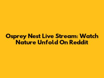 Osprey Nest Live Stream: Watch Nature Unfold On Reddit