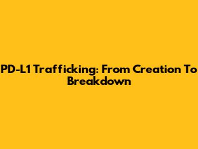PD-L1 Trafficking: From Creation To Breakdown