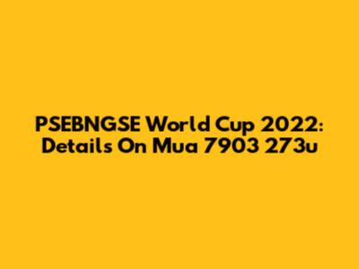 PSEBNGSE World Cup 2022: Details On Mua 7903 273u