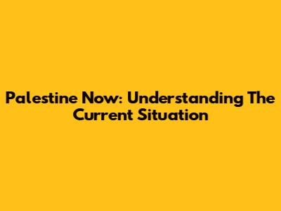 Palestine Now: Understanding The Current Situation