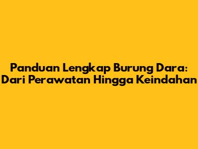 Panduan Lengkap Burung Dara: Dari Perawatan Hingga Keindahan