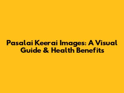 Pasalai Keerai Images: A Visual Guide & Health Benefits